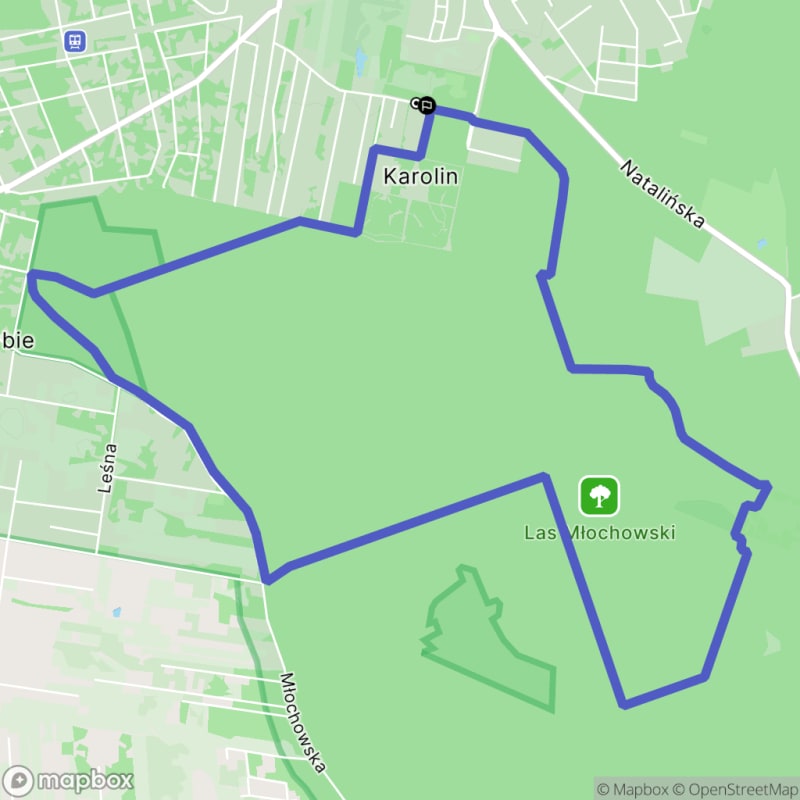 Umiarkowana wędrówka 9,2 km przez Las Młochowski, Otrębusy - Otrębusy