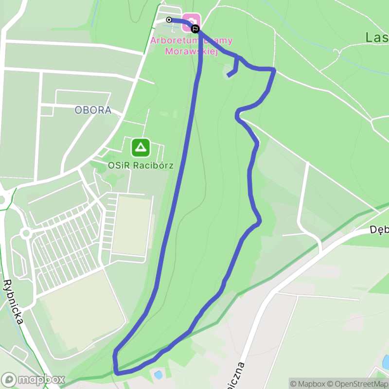Łatwa ścieżka dendrologiczna o długości 2,4 km w Arboretum Bramy Morawskiej (45 m) - Racibórz