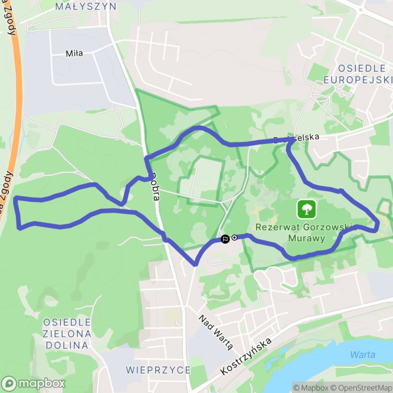 Łatwa 5,5-kilometrowa wędrówka wokół Murawy-Wieprzyce, Gorzów Wielkopolski - Gorzów Wielkopolski