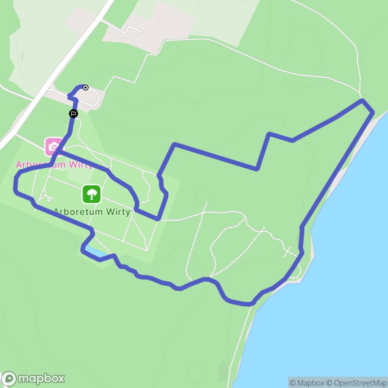 Łatwy szlak Wirty Forest o długości 2,8 km - Wirty