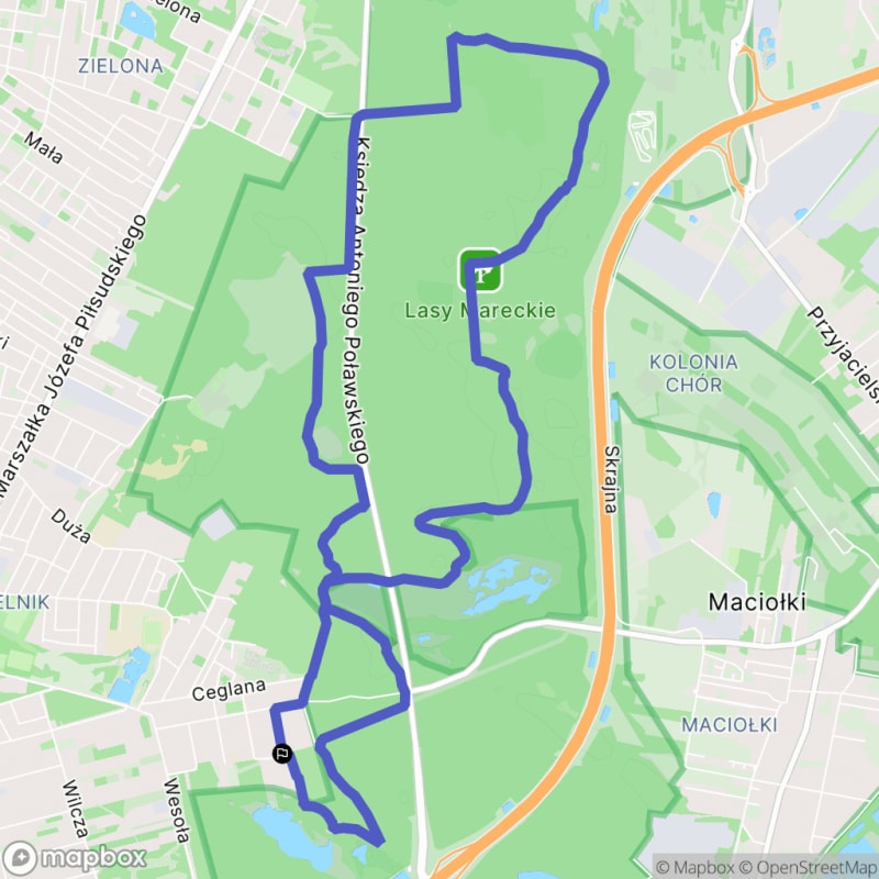 Wędrówka przez Lasy Mareckie - Umiarkowane 11,2 km, 3:15 - Marki
