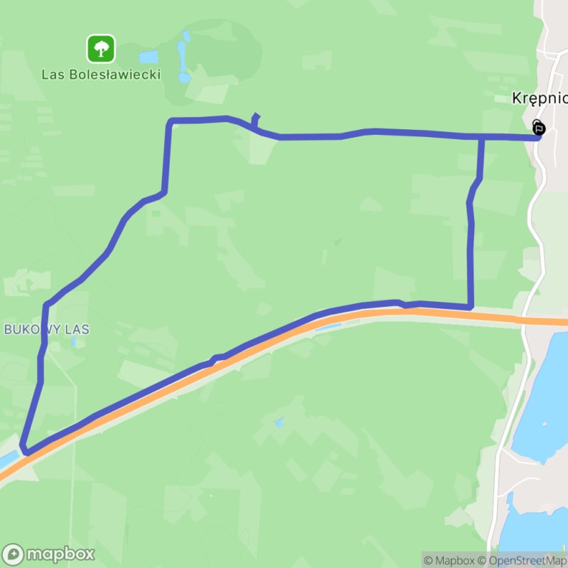 Umiarkowana pętla leśna Krępnica 9,2 km - Krępnica