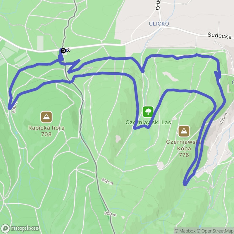 Wymagająca trasa MTB o długości 11,7 km w Lesie Czerniawskim - Świeradów-Zdrój
