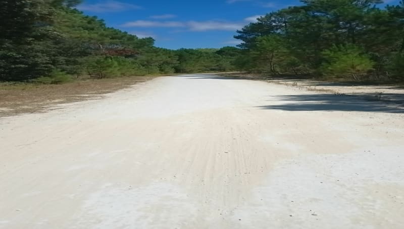 Balade velo, de la Brousse à plage de la Palmyres - Breuillet