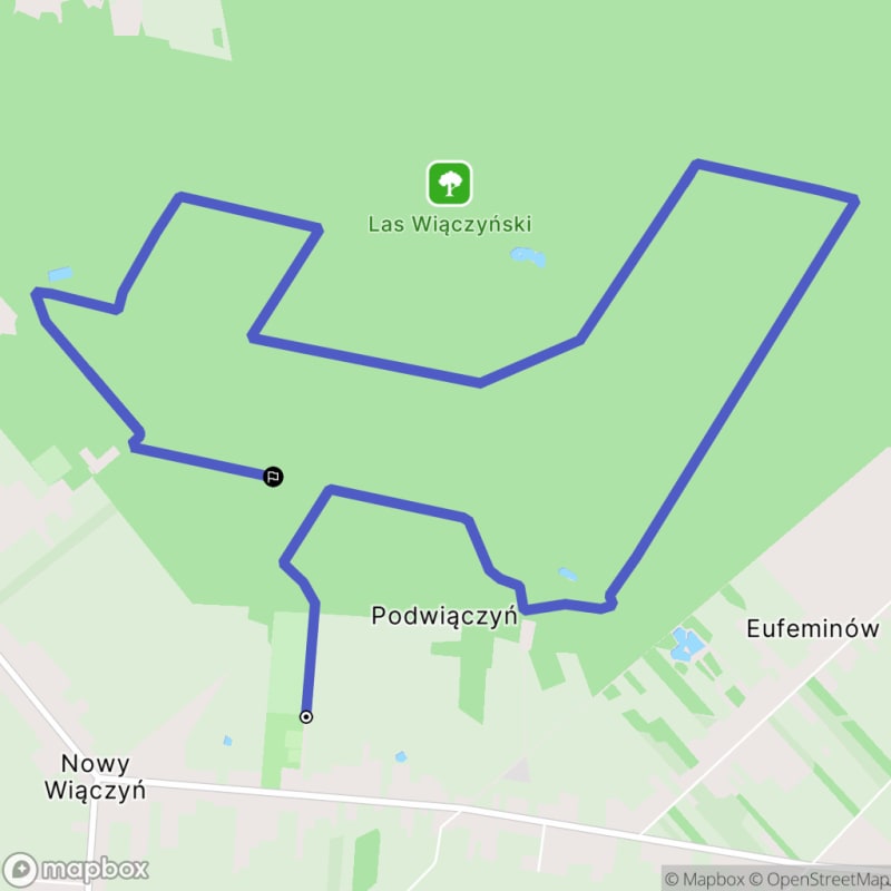 Wymagający bieg trailowy na 10,3 km w Lesie Łódzkim - Wiączyń Dolny