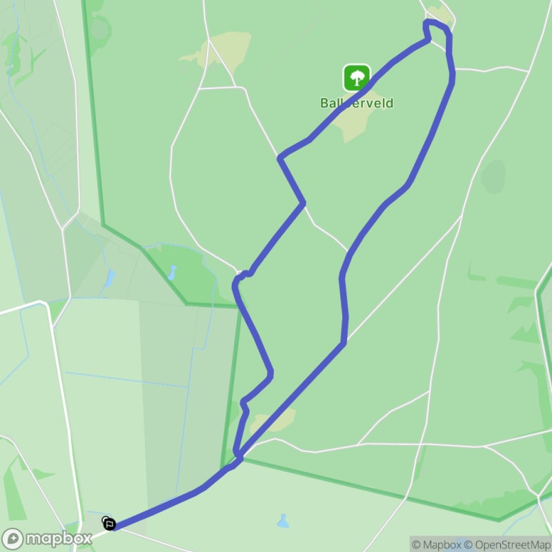 Wandelen in Balloo, Drenthe - Balloo