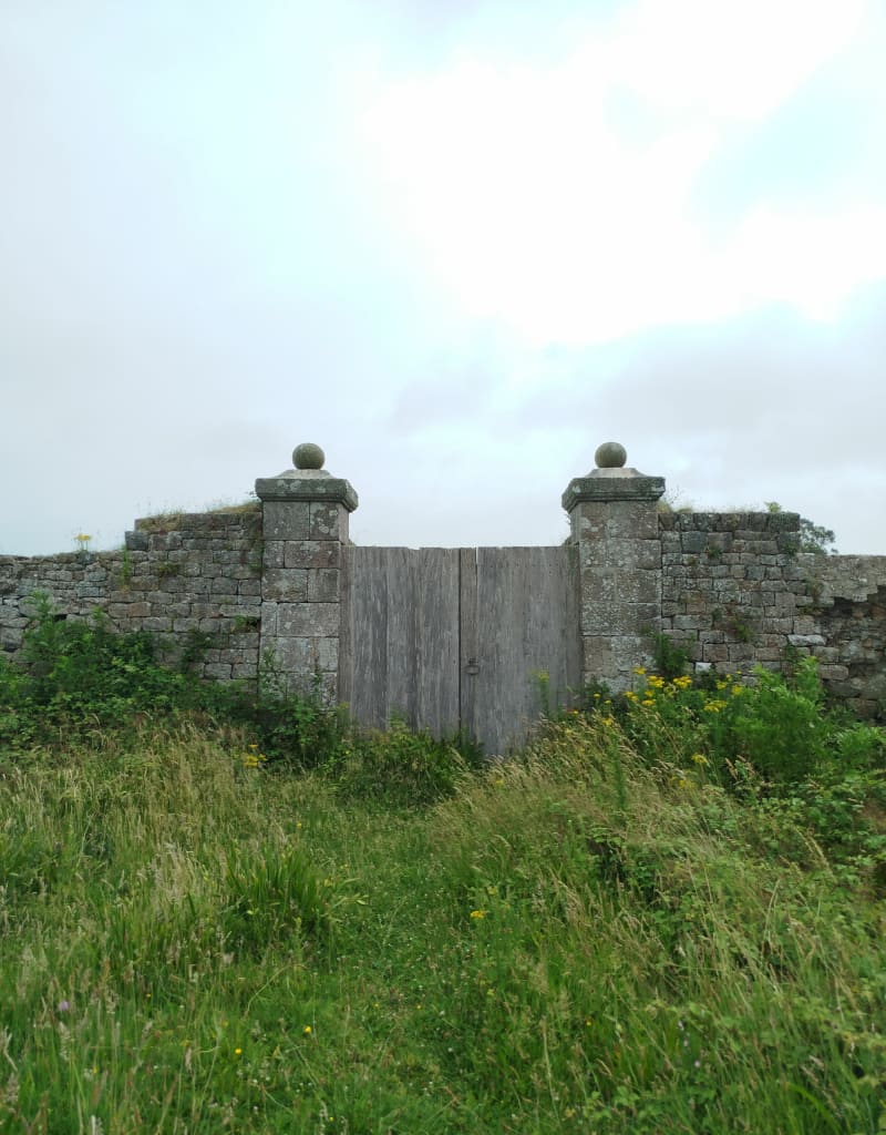 Le long de la côte de Tatihou - Saint-Vaast-la-Hougue