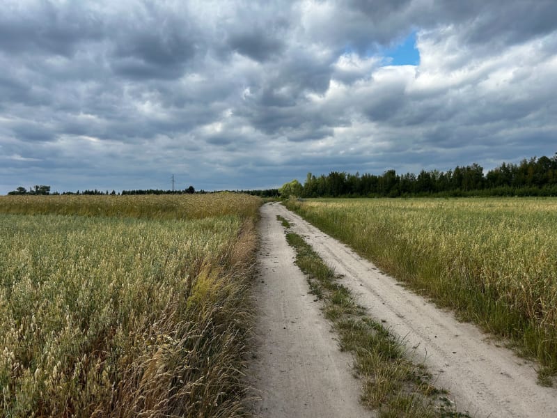 Na luzaka - Piaseczno - Piaseczno