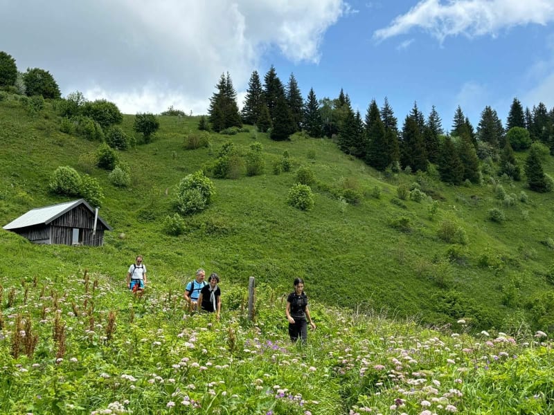 Col de l'Alpettaz - Mercury