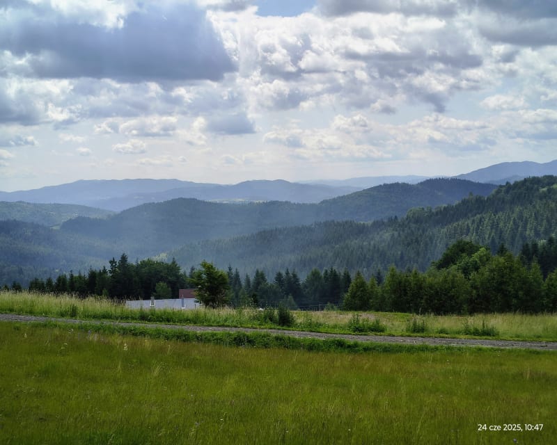 Wyrabiska - Mogielica - Chyszowki - Zalesie