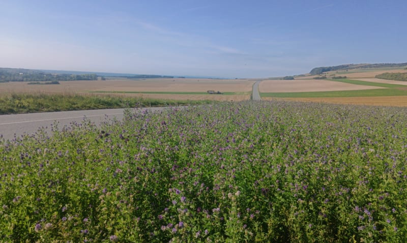 Wissant par la campagne - Hardinghen
