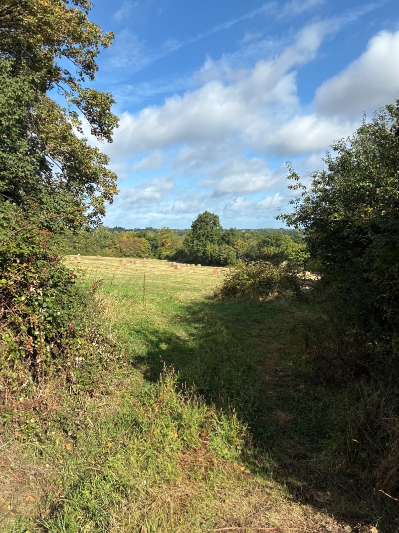 En passant par les haras de la vallée de la Touques - Manerbe
