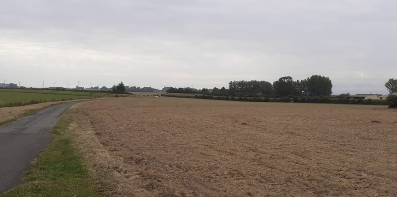 Les vignes de Maresquel-Ecquemicourt - Maresquel-Ecquemicourt