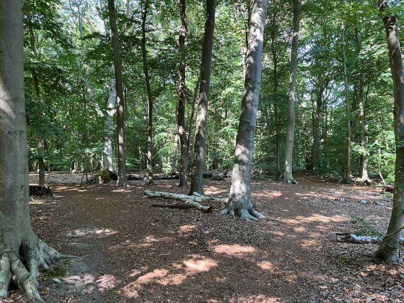 Petite balade à Montgeon - Fontaine-la-Mallet
