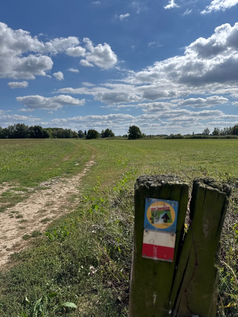 Ophemert : Waalbandijk - promenades sur les digues - Ophemert
