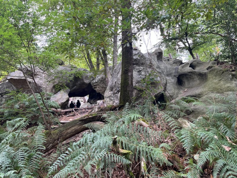 Petit circuit dans les rochers du Mont Ussy - Fontainebleau