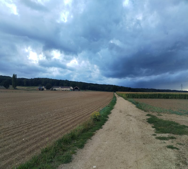 Balade entre champs et sous-bois - Jouy-le-Moutier