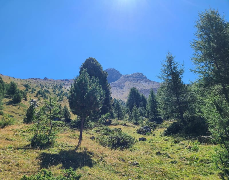 Pic du Boussolenc depuis la station des Orres1650 - Les Orres