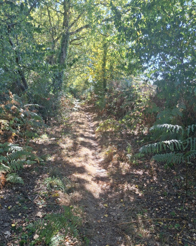 Petite rando tranquille - La Roche-sur-Yon