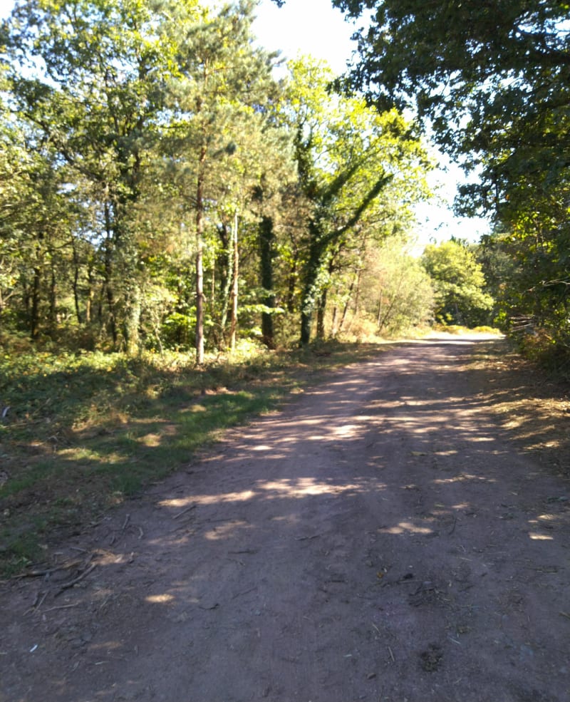 Balade en Monteneuf - Monteneuf