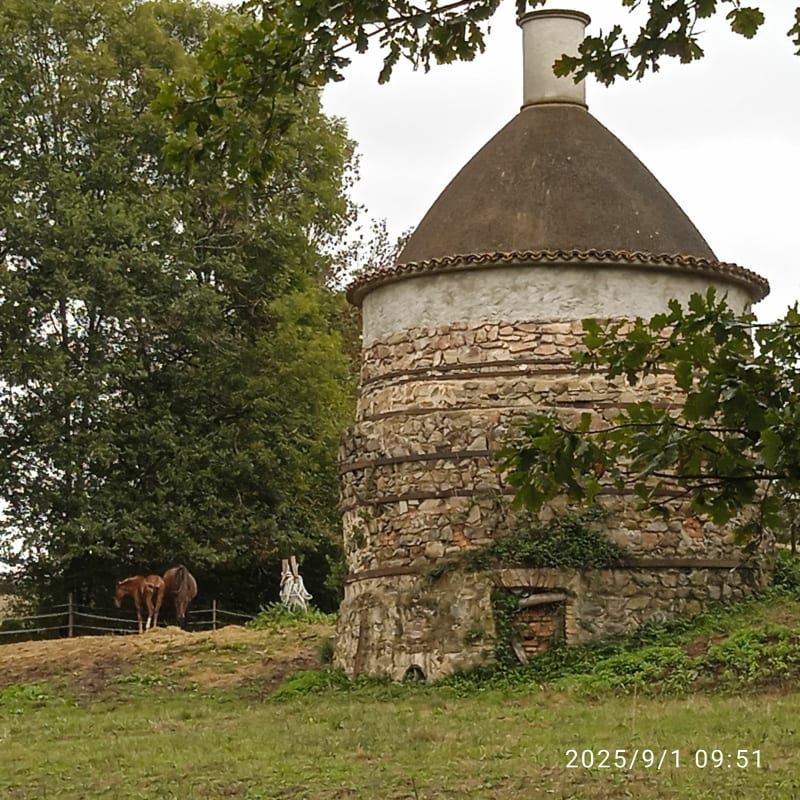 Amions et ses bois - Vézelin-sur-Loire