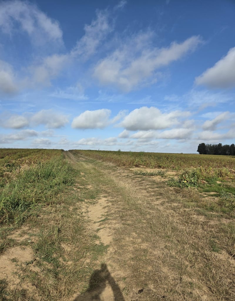 Randonnée VTT au départ de Hancourt - Hancourt
