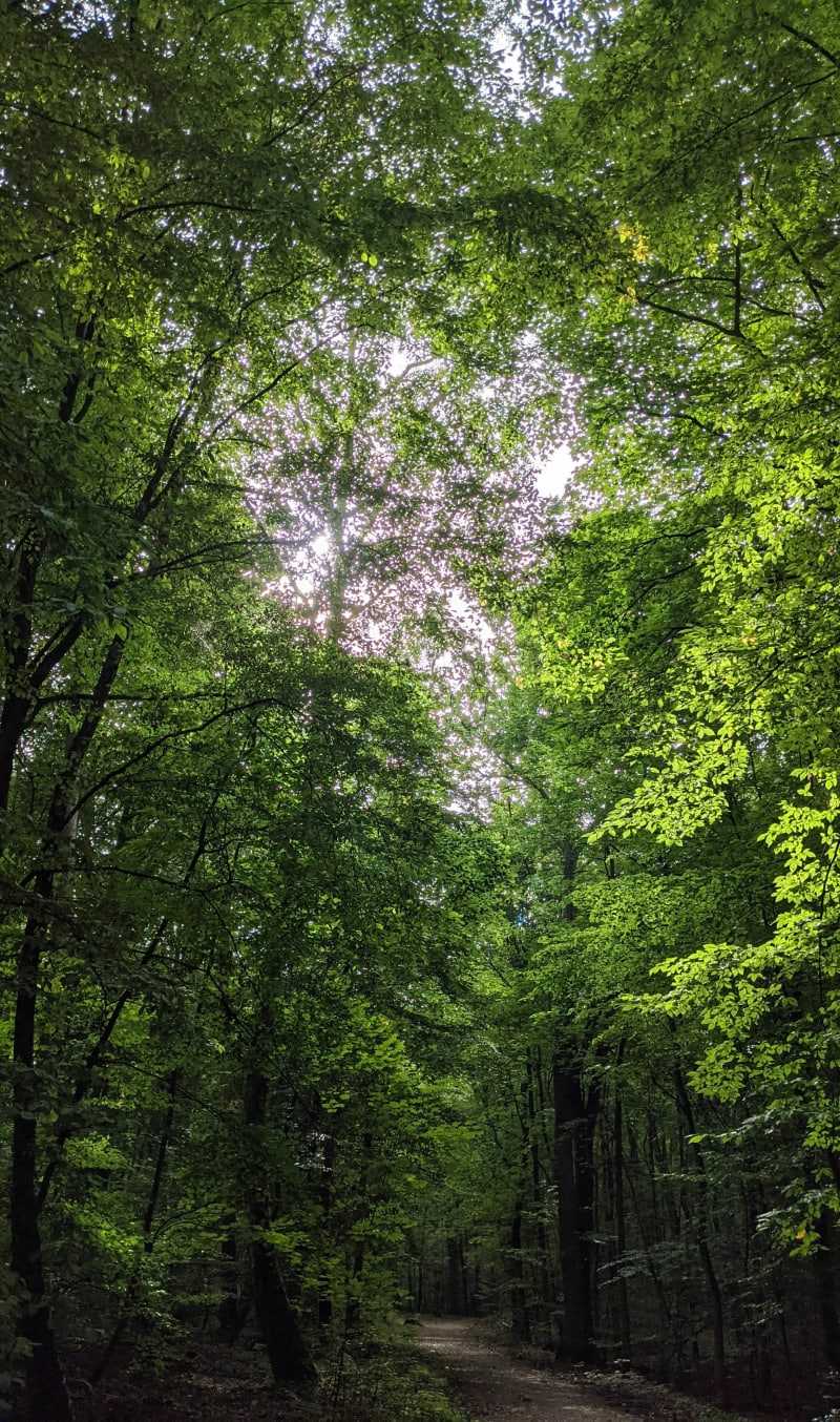 Z Osowa wokół Arkonki - Szczecin