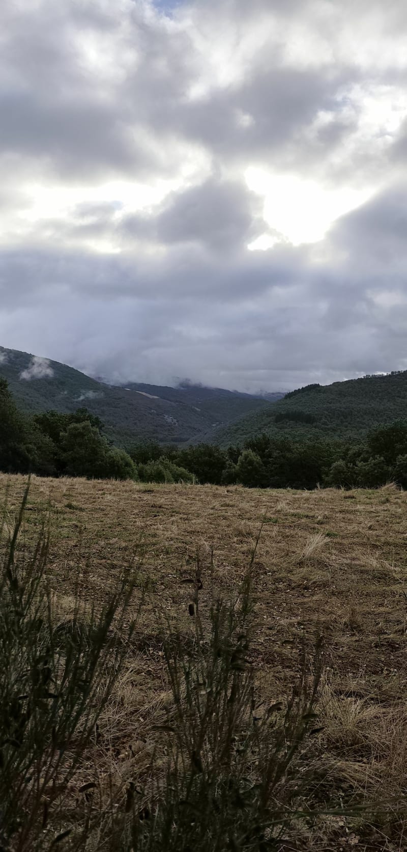 Par le puech del Rey - Saint Geniez d'Olt et d'Aubrac