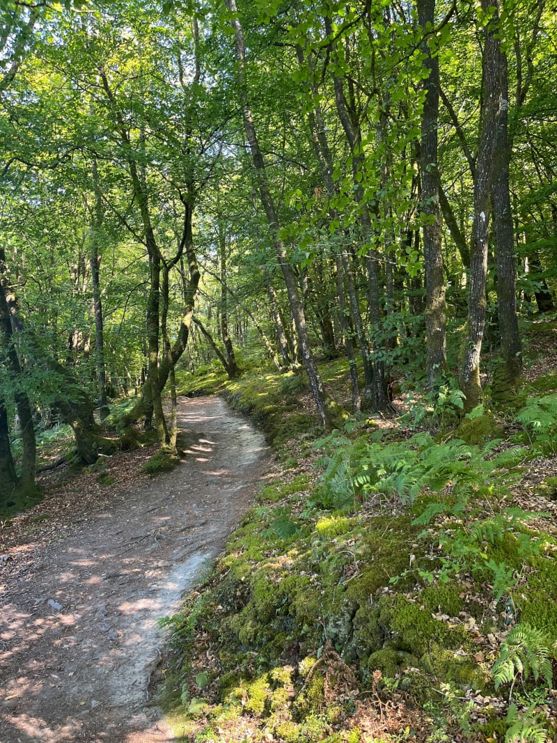 Itinéraire plaine ville vallée de Gouédic - Saint-Brieuc