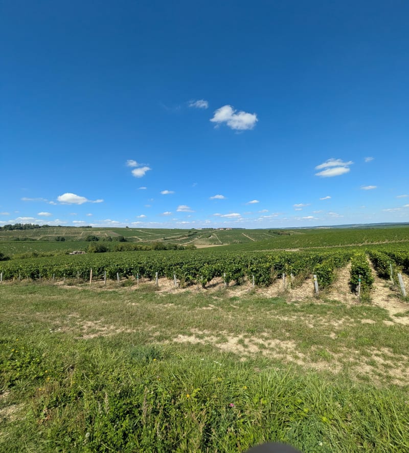 Beau panorama du chablisien - Préhy