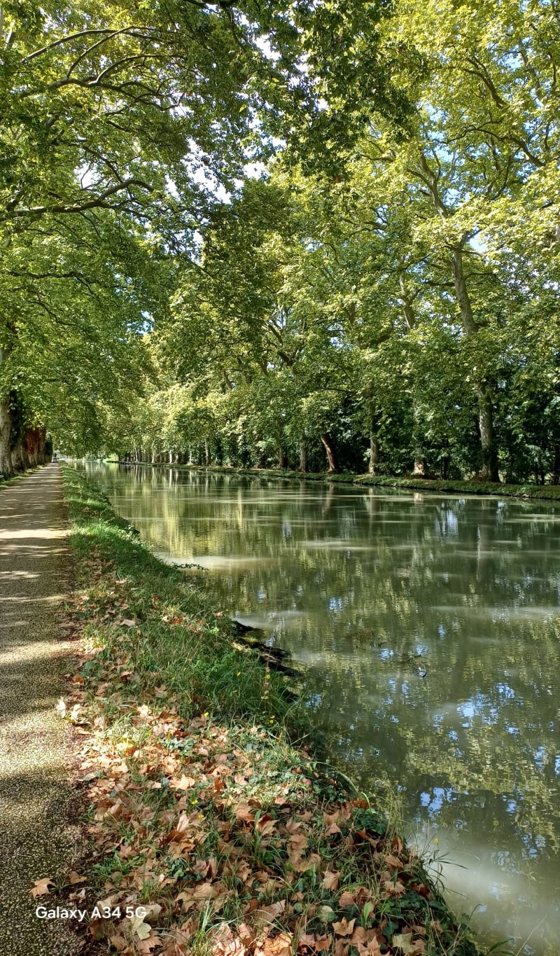 De Moissac à Bolfech - Moissac