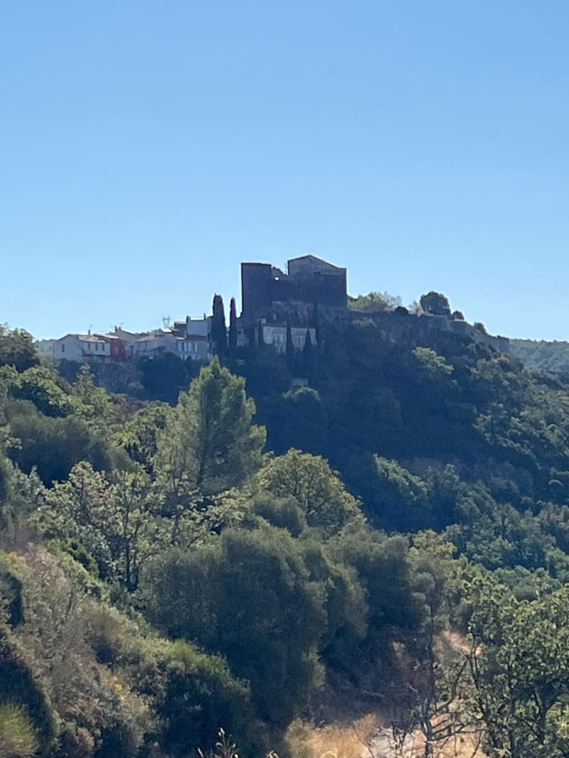 Château médiéval d'Evenos - Évenos