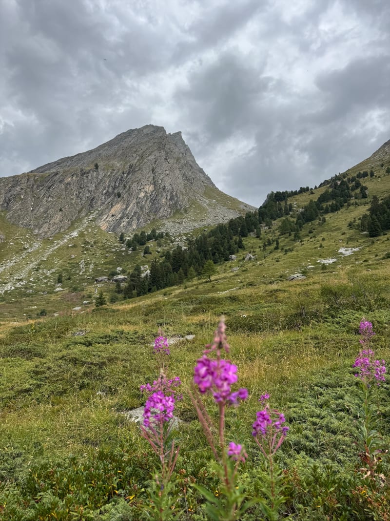 Promenade à l’Orgère - Villarodin-Bourget