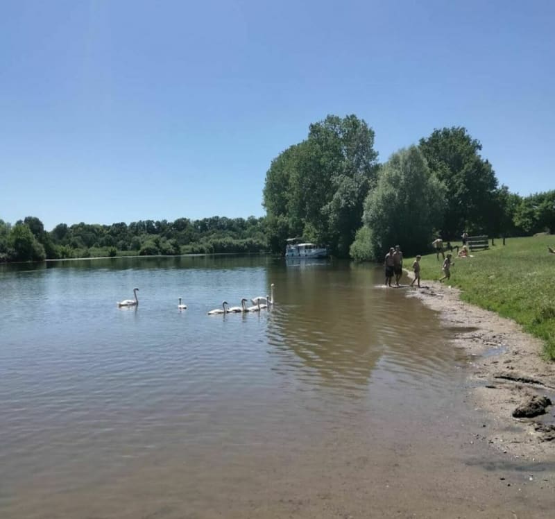 Rives de Saône - Savoyeux