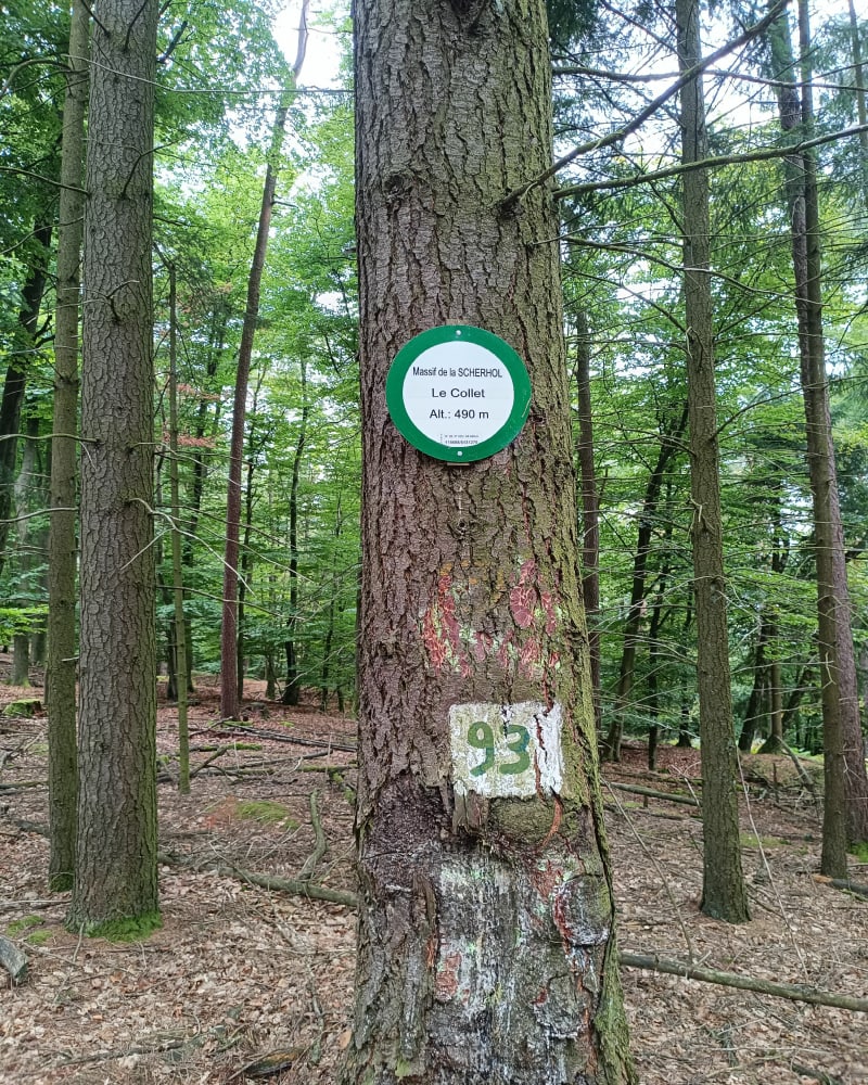 Col du Pigeonnier et refuge du Scherhol - Rott