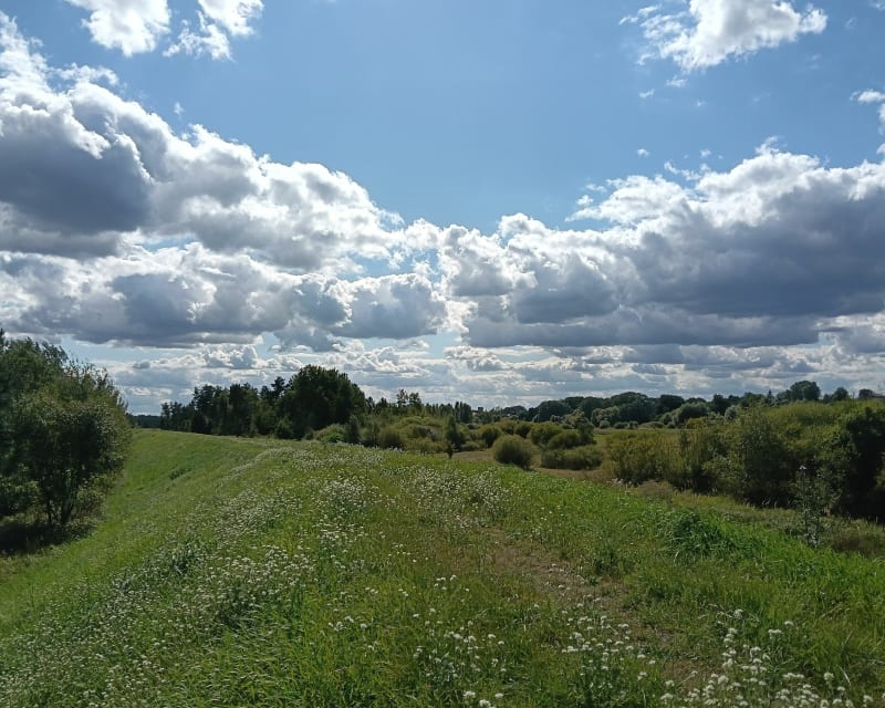 Nadwarciański Park Krajobrazowy - Pyzdry