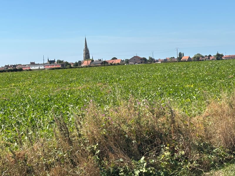 Autour d’Hondschoote - Rexpoëde