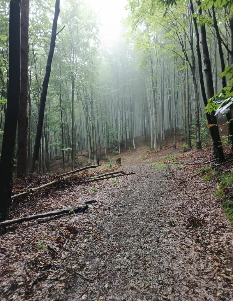 Crystal mountain - Wisła