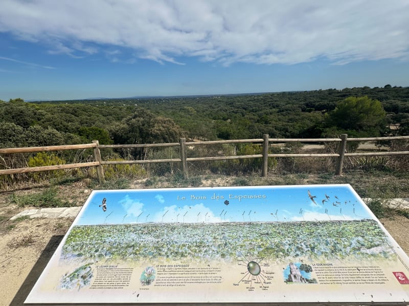 Balade entre ville et garrigues à Nîmes - Nîmes