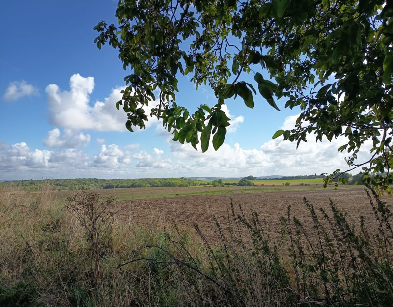 De Belloy-en-France à la ferme du Trianon - Belloy-en-France