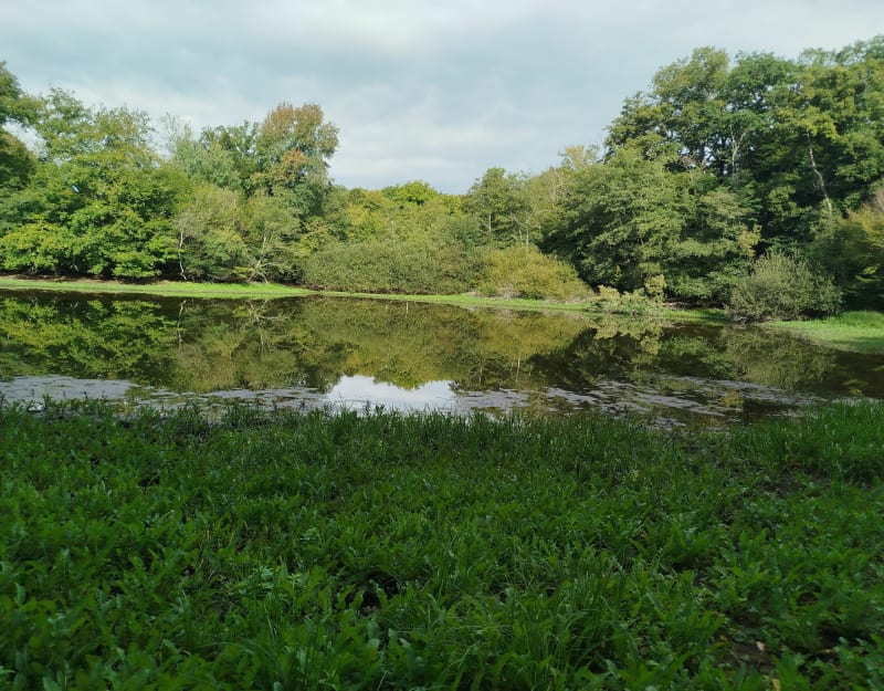 Dans la forêt entre Cussey sur l'Ognon et gare TGV Besançon - Geneuille