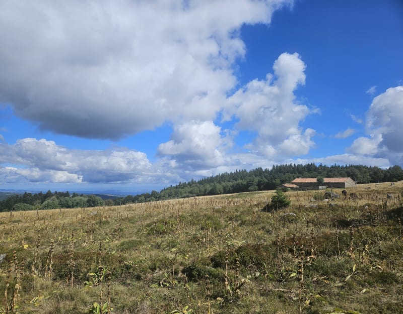 Les hauteurs de Chalmazel - Chalmazel-Jeansagnière