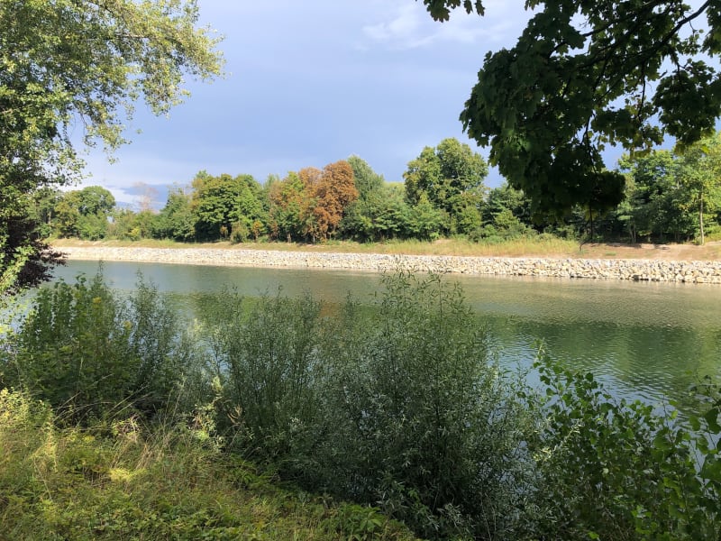 Bords de Seine - Le Vésinet