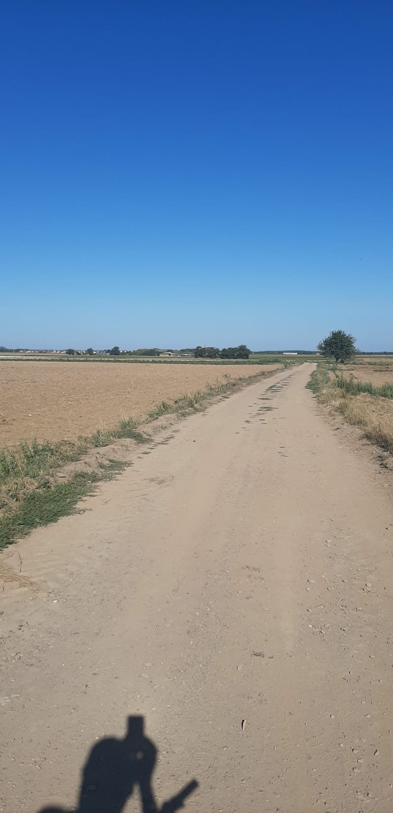 Balade à travers les champs au départ de Auchy - Auchy-les-Mines