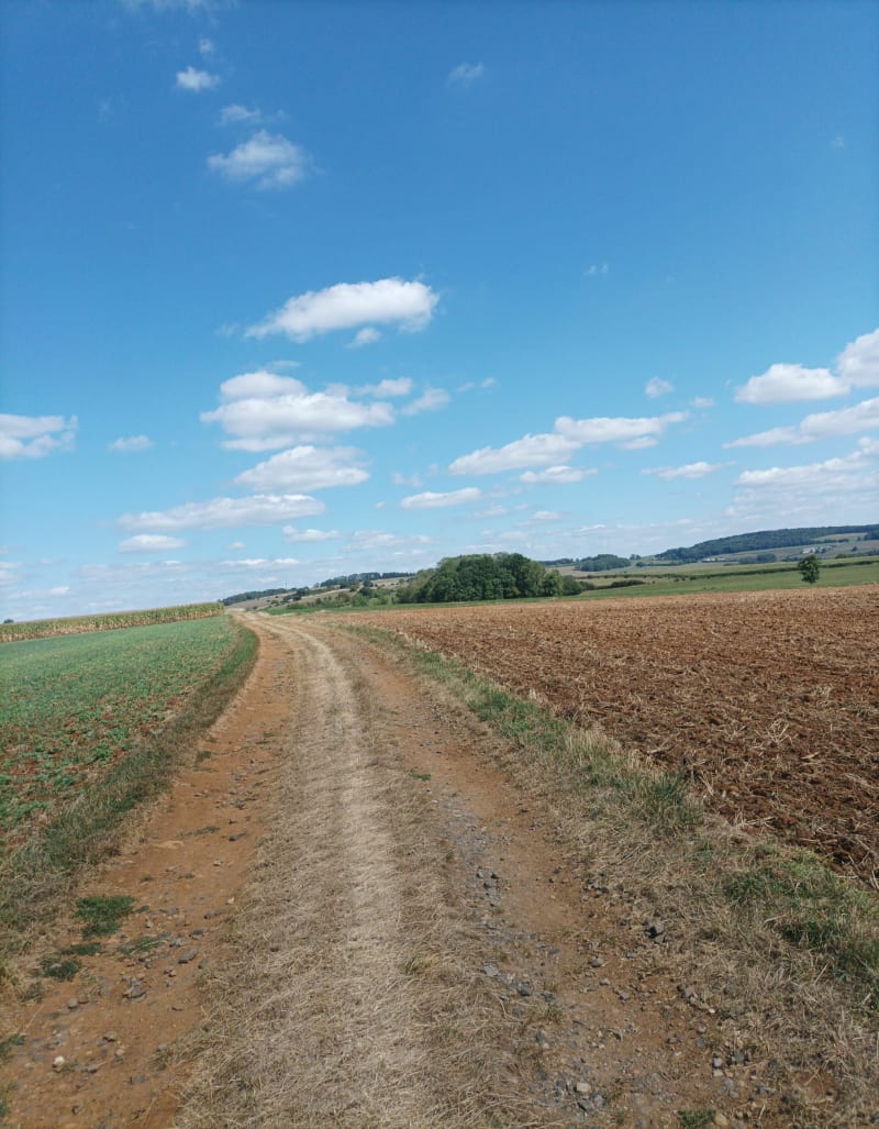 Saint walfroy - Margut