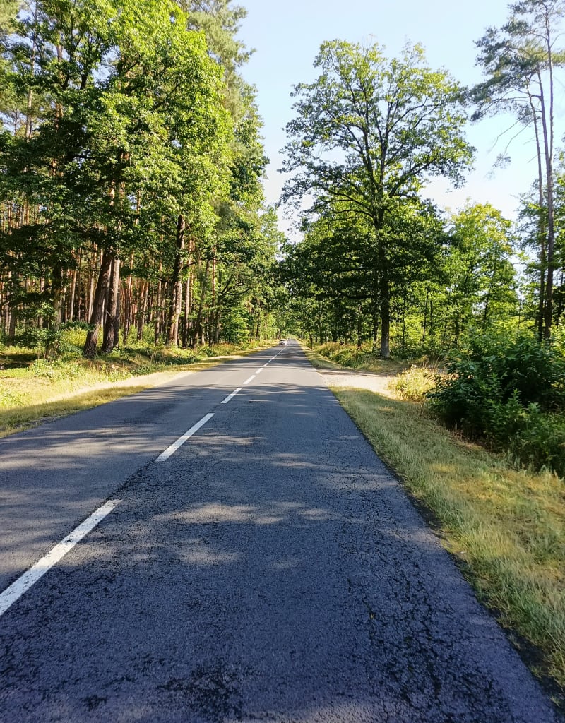 Oleśnica Twardogóra Kobyla Góra Syców Oleśnica - Oleśnica