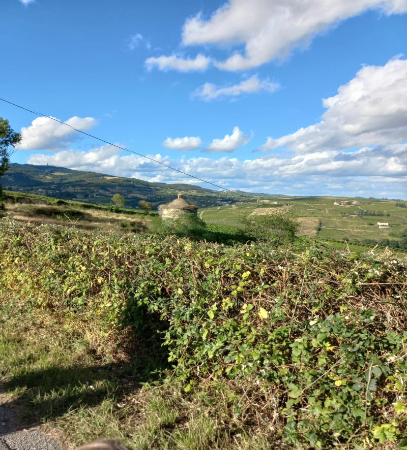 Balade des 3 châteaux, et Croix des Forces - Quincié-en-Beaujolais