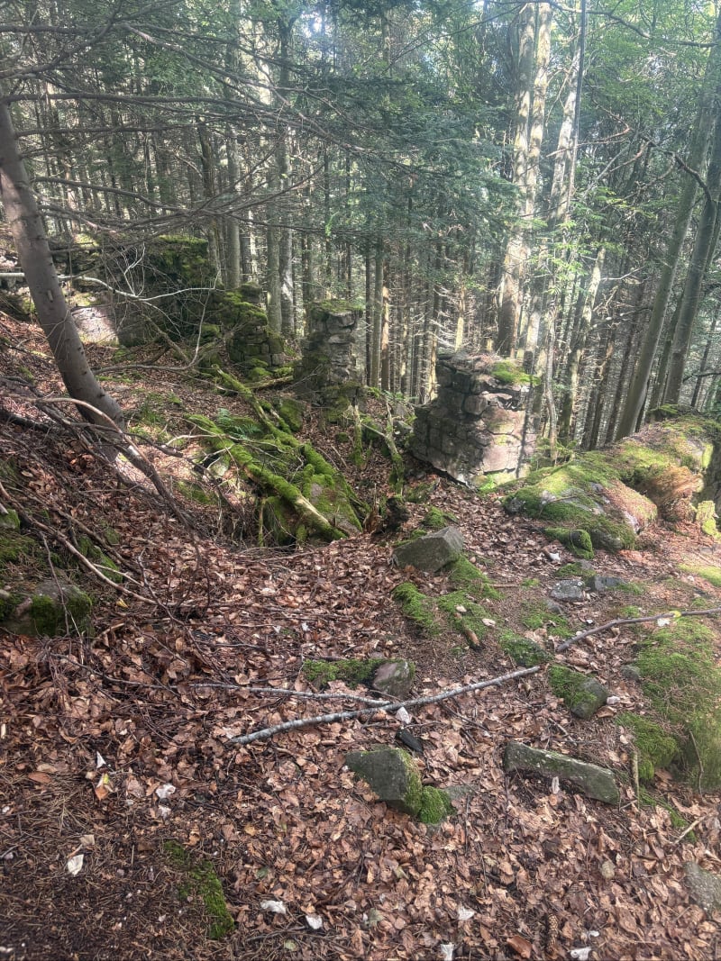 Le Grand Hohnack - Wihr-au-Val