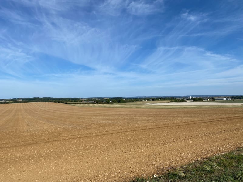 Sortie Loué à VTT, par Bernay - Loué