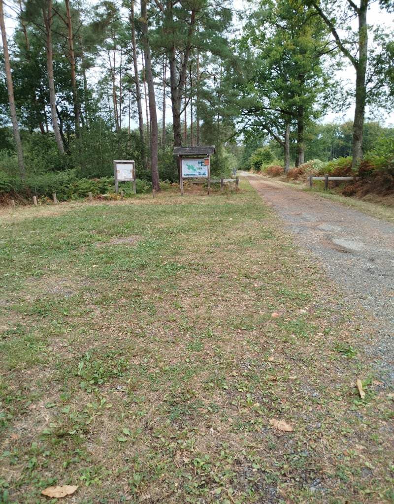 Forêt domaniale de Chandelais - Noyant-Villages
